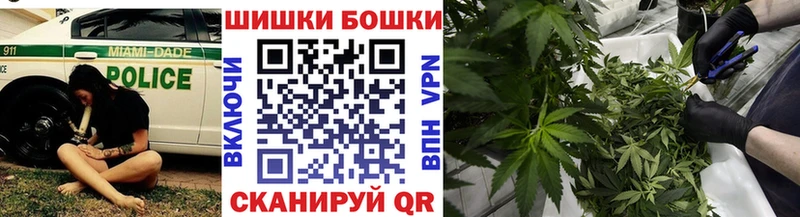 где можно купить наркотик  Новая Ладога  Бошки марихуана планчик 
